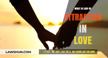 Unlocking Love's Power: Understanding the Law of Attraction in Relationships