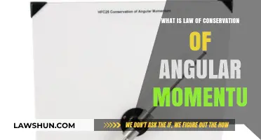 Understanding the Law of Conservation of Angular Momentum