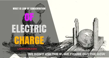Understanding the Law of Conservation of Electric Charge: A Fundamental Principle