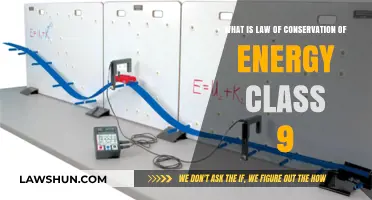 Understanding the Law of Conservation of Energy: Class 9 Explained