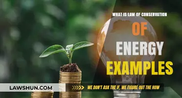 Understanding the Law of Conservation of Energy: Real-World Examples Explained