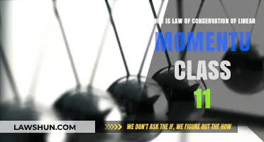 Understanding the Law of Conservation of Linear Momentum in Class 11 Physics