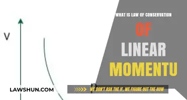 Understanding the Law of Conservation of Linear Momentum