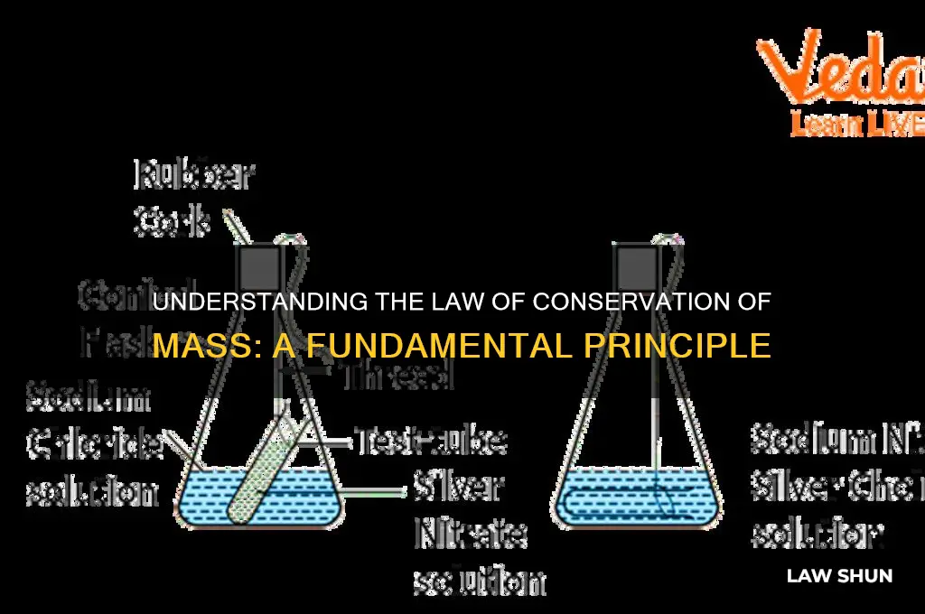 what is law of conservation of mas