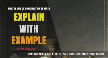Understanding the Law of Conservation of Mass: Definition and Real-World Example