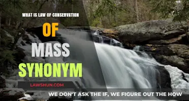 Understanding the Law of Conservation of Mass: Synonyms and Meaning