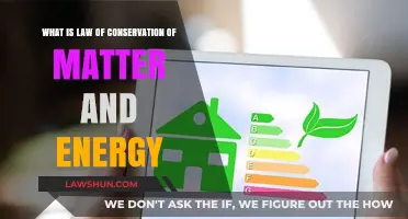 Understanding the Law of Conservation of Matter and Energy