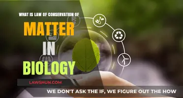 Understanding Biology's Law of Conservation of Matter: Principles Explained