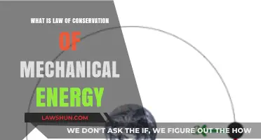 Understanding the Law of Conservation of Mechanical Energy