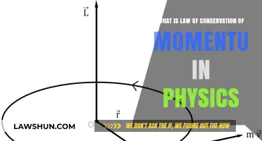 Understanding the Law of Conservation of Momentum in Physics