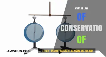 Understanding the Law of Conservation: Principles and Real-World Applications