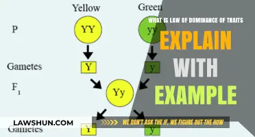 Understanding the Law of Dominance: Traits, Examples, and Genetics Explained