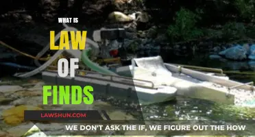 Understanding the Law of Finds: Treasure Hunting Rights Explained