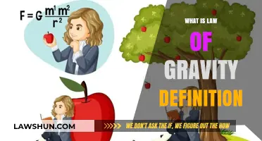 Understanding the Law of Gravity: Definition, Principles, and Applications