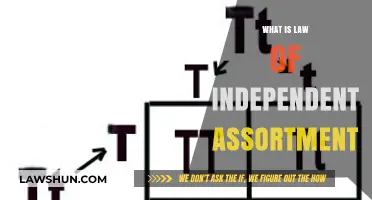 Exploring Mendel's Law of Independent Assortment: A Genetic Journey