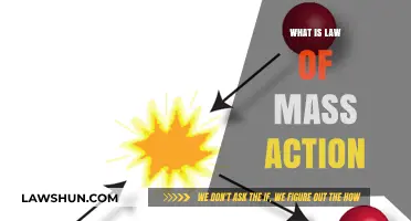 Exploring the Fundamentals: What is the Law of Mass Action?