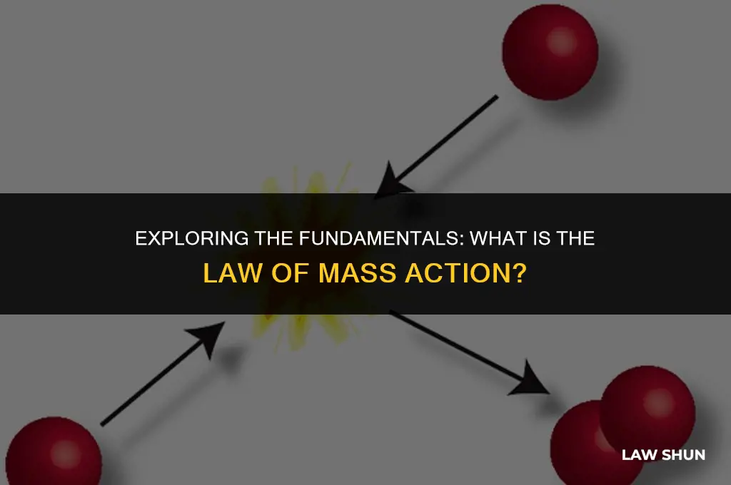 what is law of mass action