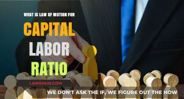 Understanding the Law of Motion for Capital-Labor Ratio in Economics
