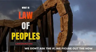 Understanding the Law of Peoples: Global Justice and Human Rights