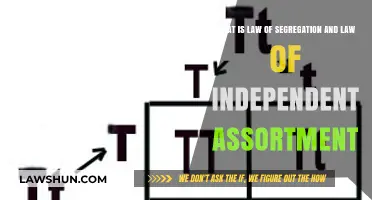 Understanding Mendel's Laws: Segregation and Independent Assortment Explained