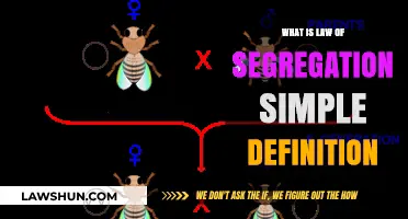 Understanding the Law of Segregation: A Simple Definition Explained