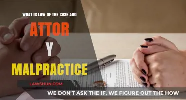 Malpractice and the Law of the Case: Understanding Attorney Risks