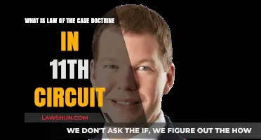 Understanding the Law of the Case Doctrine in the 11th Circuit