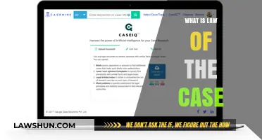 Understanding the Law of the Case Doctrine