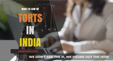 Understanding India's Law of Torts