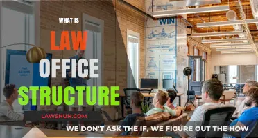 Understanding the Organizational Structure of a Modern Law Office