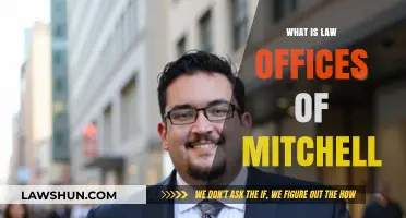 Understanding the Law Offices of Mitchell: Services, Expertise, and Reputation