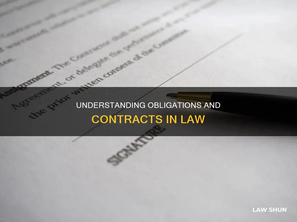 what is law on obligations and contracts