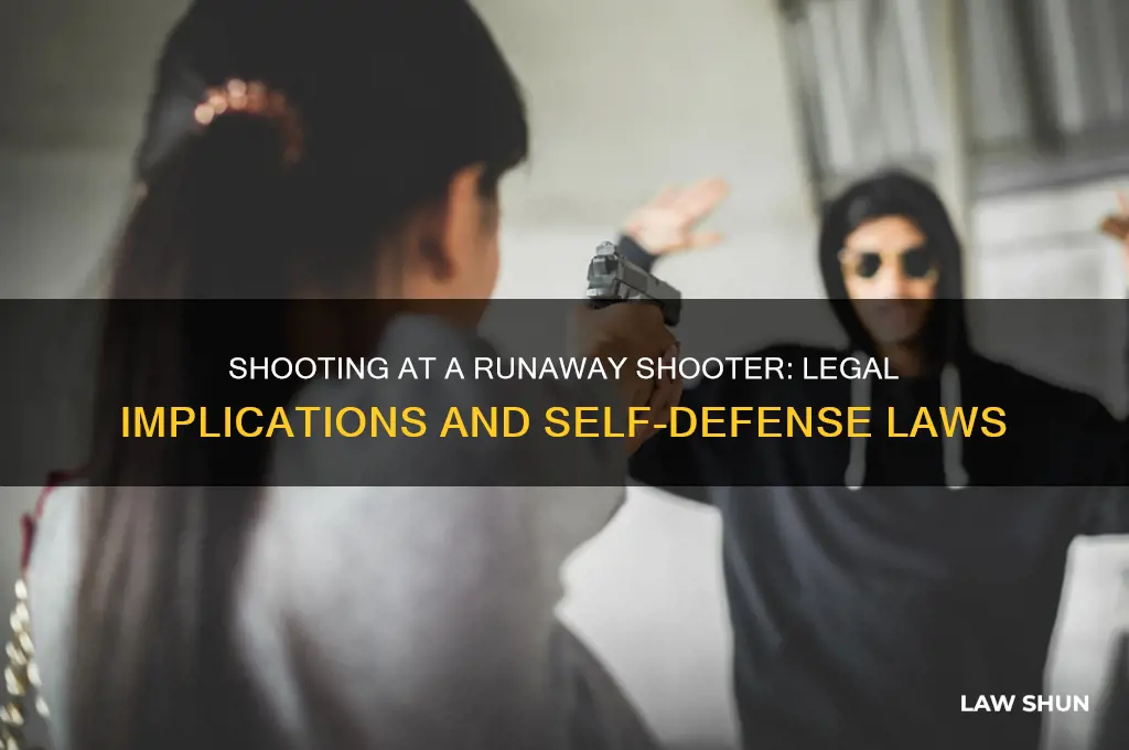 what is law on someone shooting at a runaway shooter