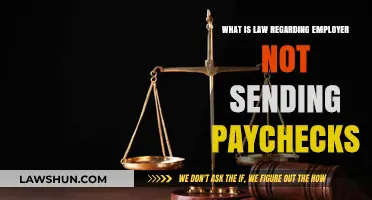 Employer Not Sending Paychecks: Legal Rights and Remedies Explained