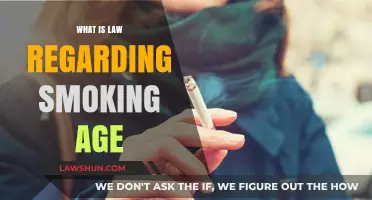 Understanding Legal Smoking Age Laws and Regulations Worldwide