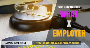 Understanding Legal Rights and Obligations Between Employers and Employees