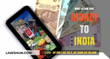 Sending Money to India: Legal Requirements