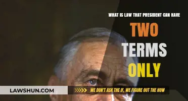 The Two-Term Limit: Presidential Law Explained