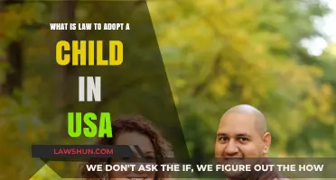 Understanding the Legal Process to Adopt a Child in the USA