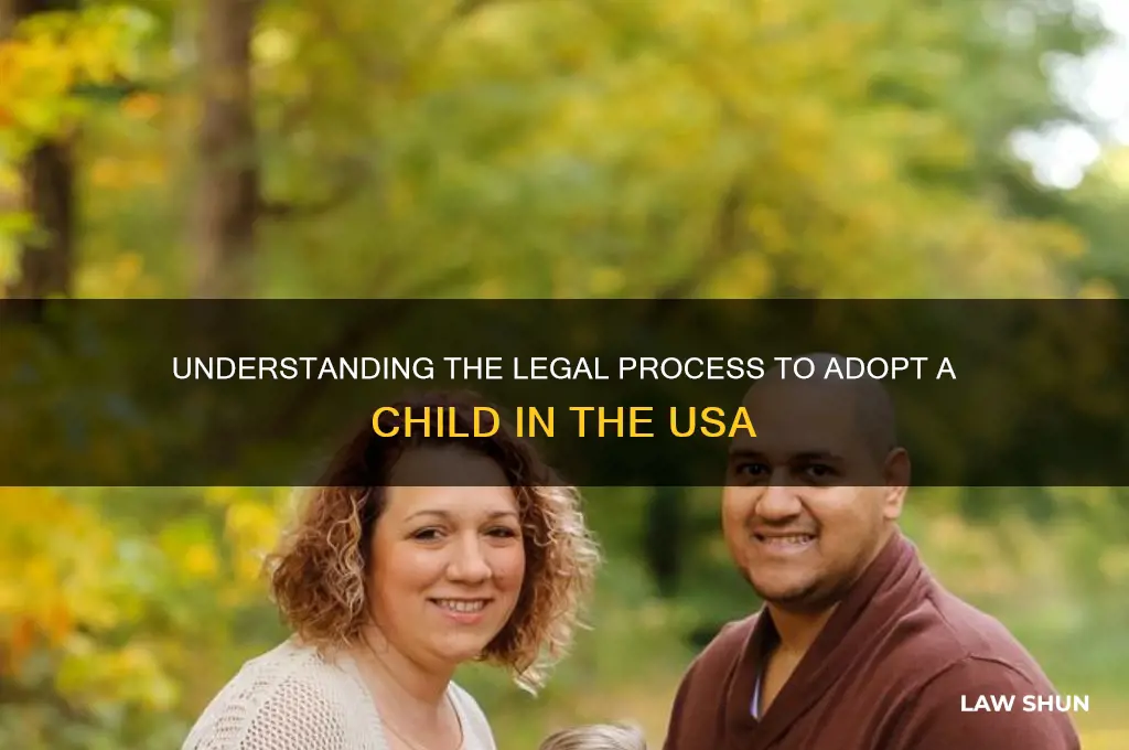 what is law to adopt a child in usa