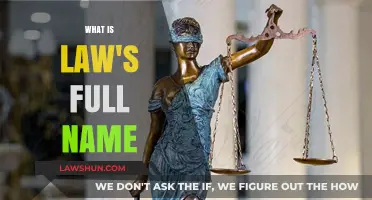 Exploring the Origins: What's Behind the Term 'Law'?