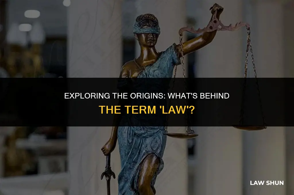 what is law