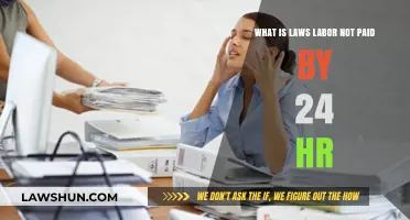 Understanding Unpaid Labor Laws for 24-Hour Work Schedules