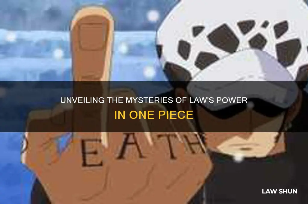 what is laws power one piece