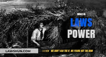 Understanding the Authority and Influence of Laws in Society