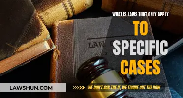 Laws Tailored to Unique Cases: Understanding Specificity