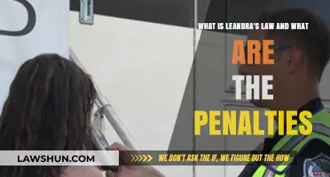 Understanding Leandra's Law: Penalties and Consequences Explained