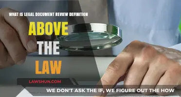 Understanding Legal Document Review: Definition and Its Role Above the Law