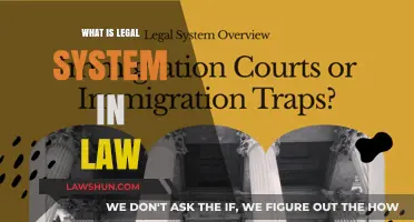 Understanding the Legal System: A Comprehensive Guide to Law
