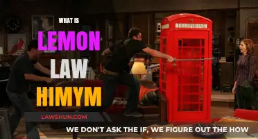 Understanding Lemon Law in How I Met Your Mother: A Legal Twist